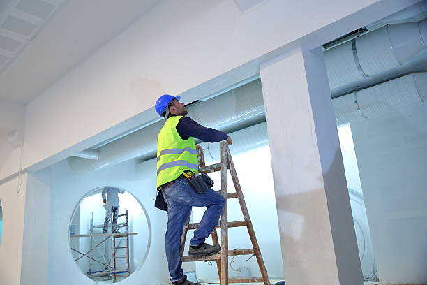 Mold Odor Removal Services in South Weber, UT